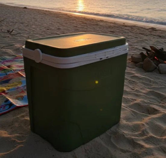 Cosmoplast ChillBox Icebox Set | Insulated Cooler in Hunter Green - althahanifurniture