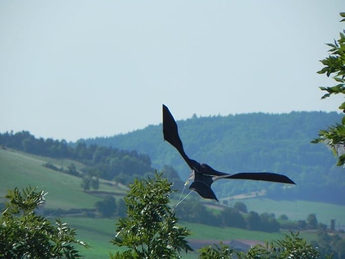 Scarybird Bird Scarer Kite Kit | Hawk-Shaped, 9m Telescopic Pole - used 3 months - Al Thahani Furniture