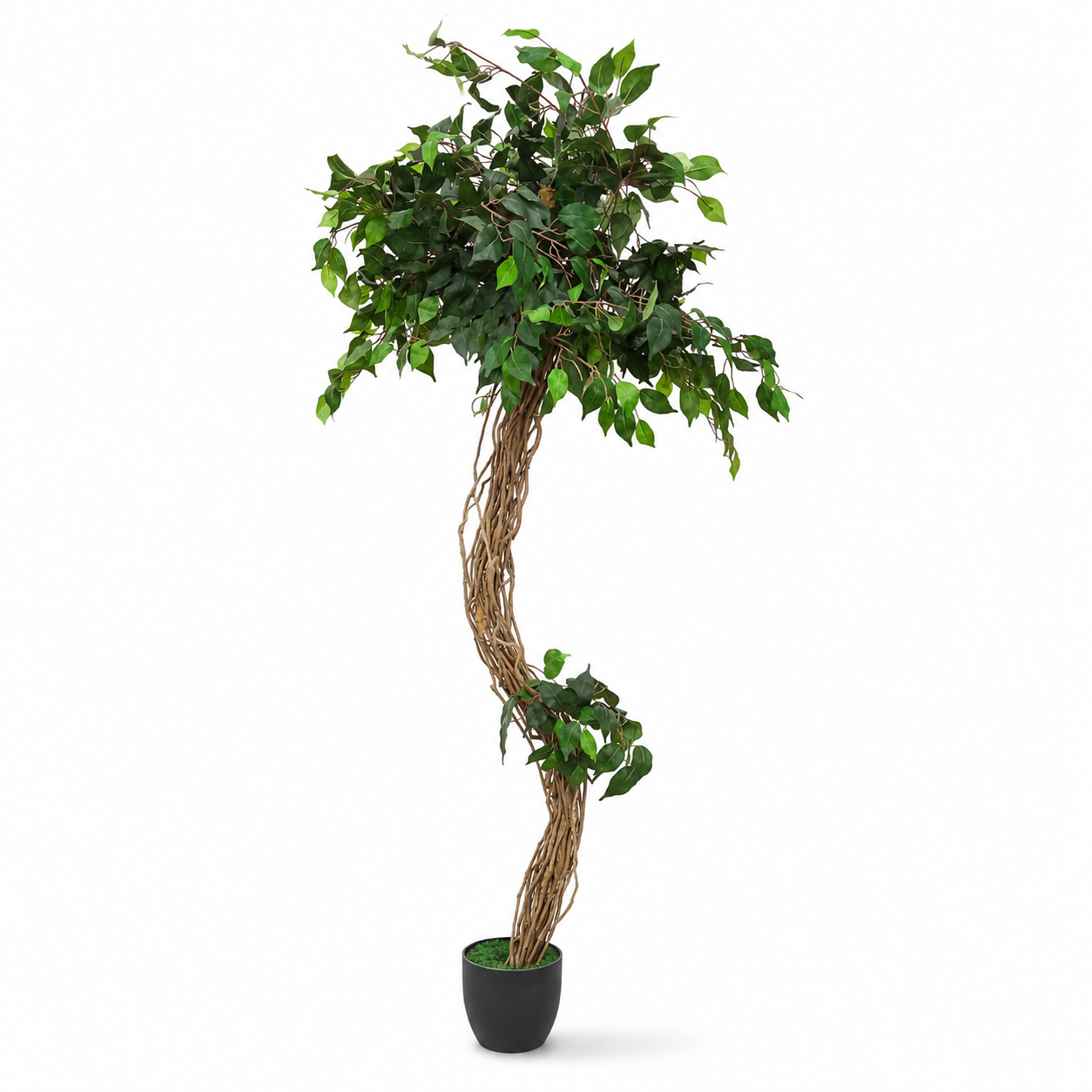 Extra-Tall Artificial Ficus Decorative Tree with Twisted Trunk – Green