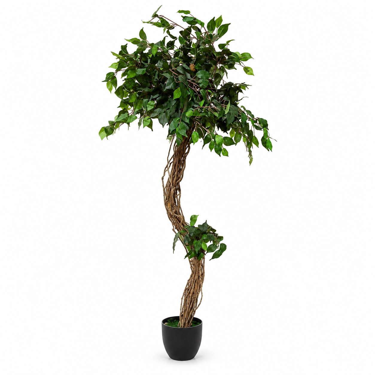Extra-Tall Artificial Ficus Decorative Tree with Twisted Trunk – Green