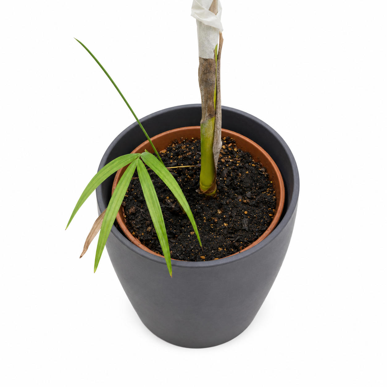 IKEA FEJKA Artificial Potted Plant | Areca Palm, Grey Pot, Indoor/Outdoor - used 2 months