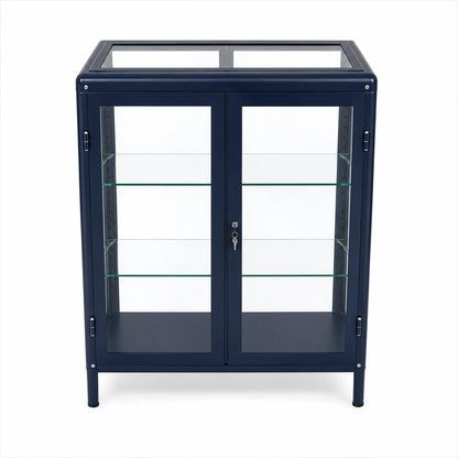 IKEA FABRIKÖR Glass-Door Cabinet | Black-Blue, 81x42x113 cm - used 4 months