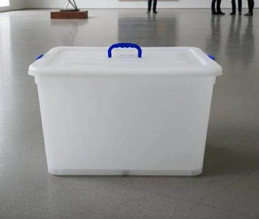 Clear Plastic Storage Box with Lid & Blue Handles - althahanifurniture