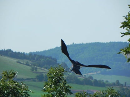 Scarybird Bird Scarer Kite Kit | Hawk-Shaped, 9m Telescopic Pole - used 3 months - Al Thahani Furniture